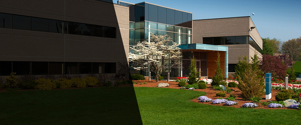 San Leandro Landscapers