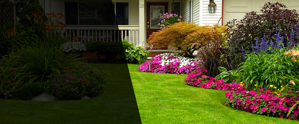 San Leandro Landscapers