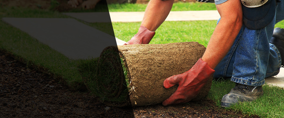 San Leandro Landscapers